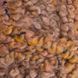 Frizzy &ndash; 415 415 фото 2