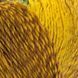 Pacific &ndash; 305 305 фото 2